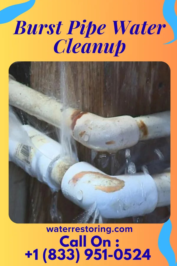 Burst Pipe Water Cleanup in Mannington, WV