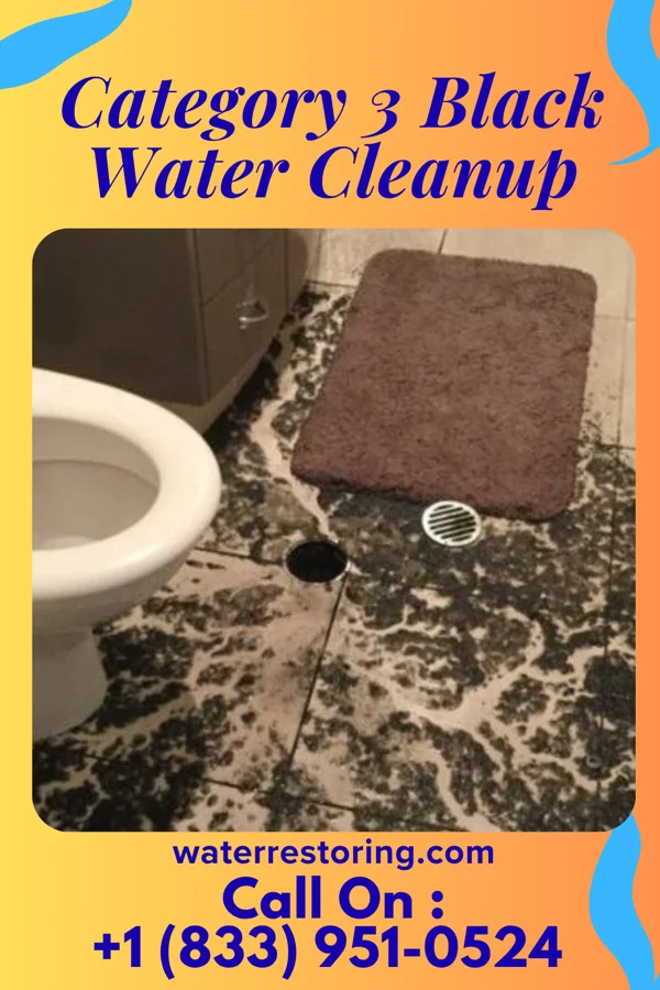 Category 3 Black Water Cleanup in Mannington, WV