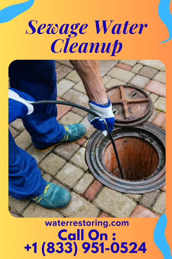 Sewage Water Cleanup in Mannington, WV