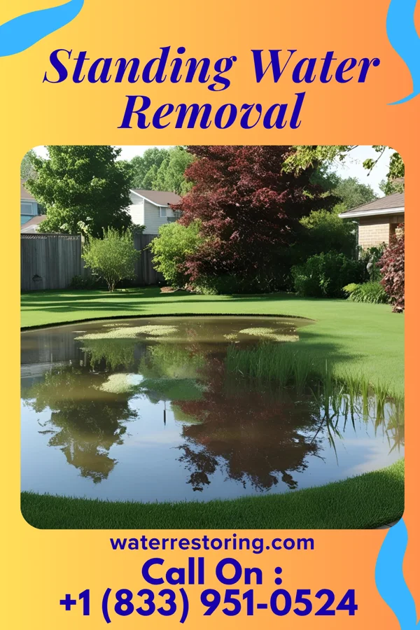 Standing Water Removal in Mannington, WV
